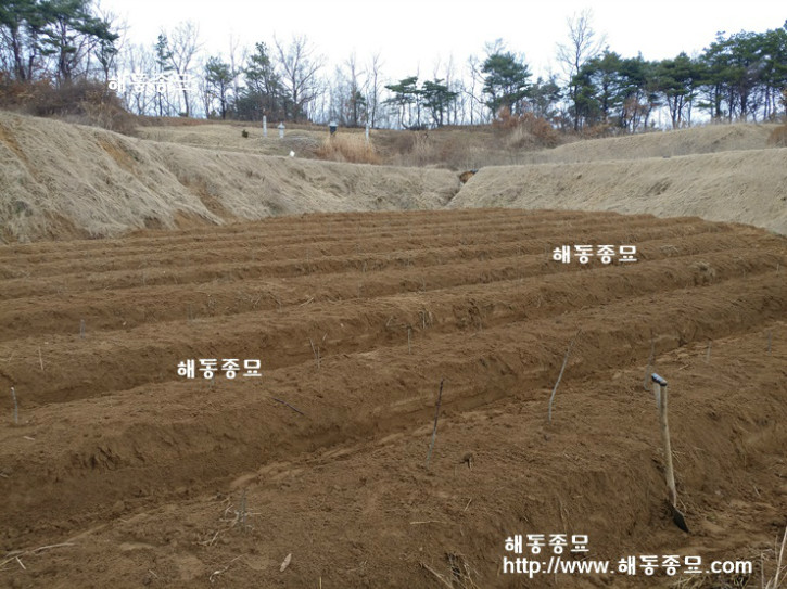 KakaoTalk_20170420_183618185.jpg