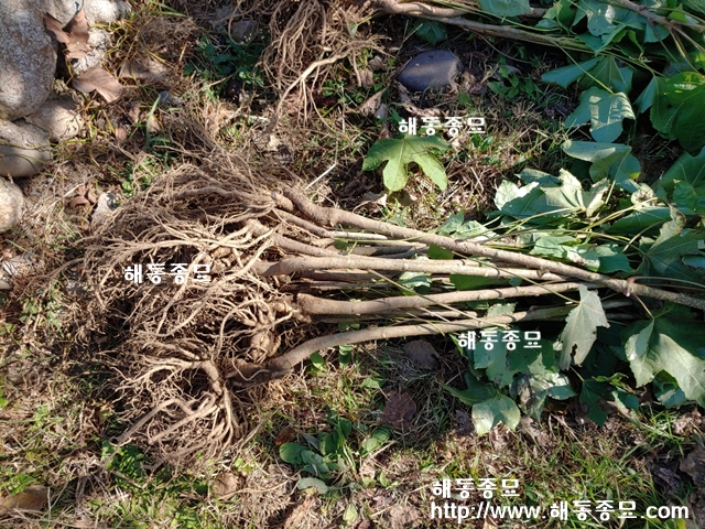KakaoTalk_20191031_184614146.jpg