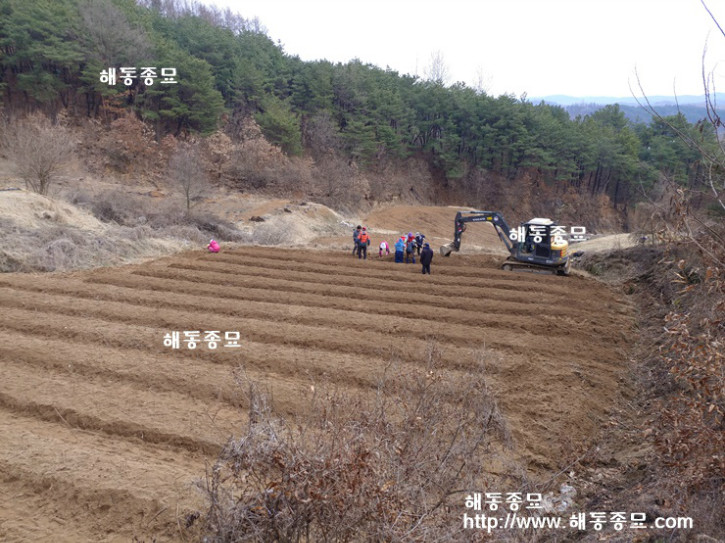KakaoTalk_20170420_183612740.jpg