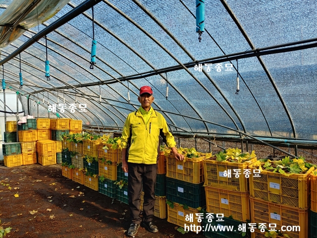 KakaoTalk_20191107_113205012.jpg
