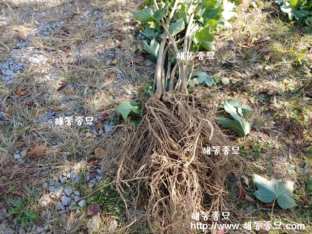 KakaoTalk_20191031_184615199.jpg