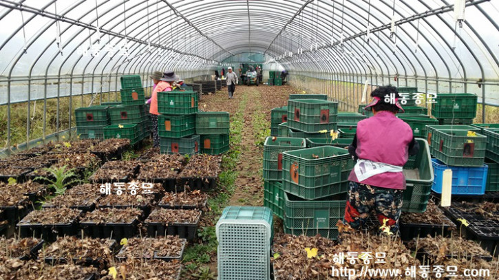 KakaoTalk_20161025_100833399.jpg