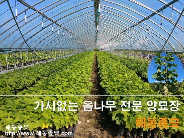 KakaoTalk_20191028_111245864.jpg