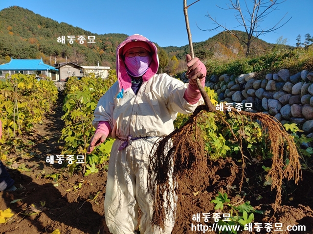 KakaoTalk_20191119_192021520.jpg