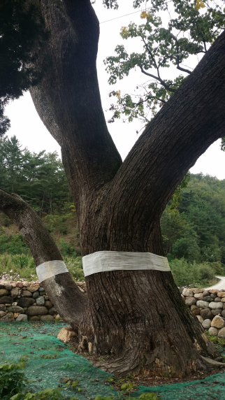 KakaoTalk_20160925_120915767.png