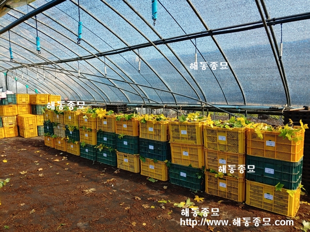 KakaoTalk_20191107_113206525.jpg