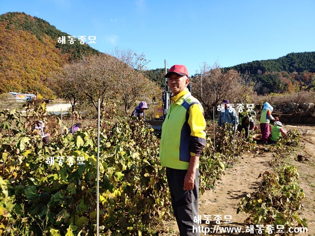 KakaoTalk_20191130_172413138.jpg