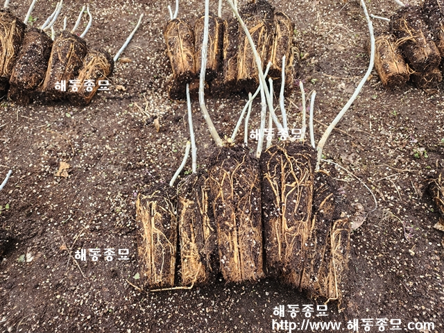 KakaoTalk_20230303_003644250_08.jpg