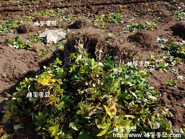 KakaoTalk_20191119_192016247.jpg