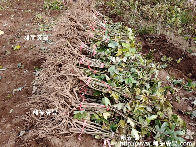 KakaoTalk_20230202_135444526.jpg