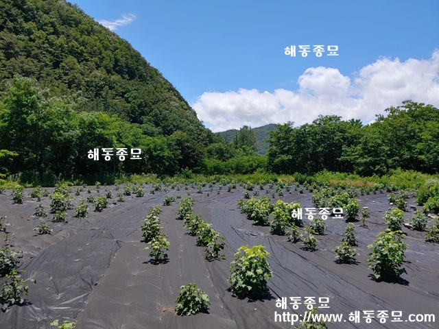 KakaoTalk_20191028_111246560.jpg
