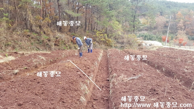 KakaoTalk_20191205_111002244.jpg