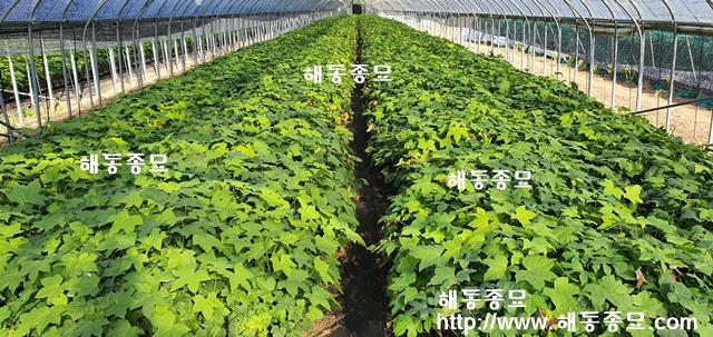 KakaoTalk_20191024_135716174.jpg