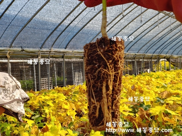 KakaoTalk_20191107_134851203.jpg