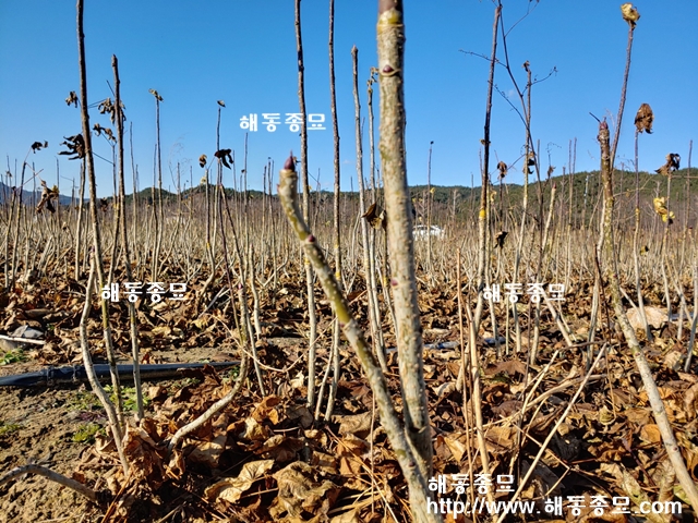 KakaoTalk_20191212_221148203.jpg