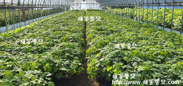 KakaoTalk_20191024_135714342.jpg