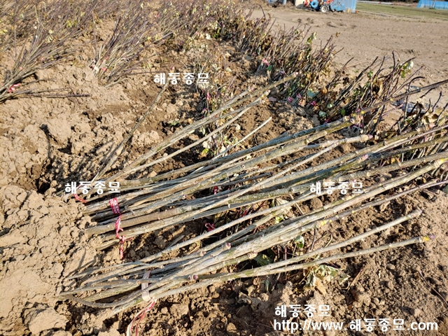 KakaoTalk_20191212_220837227.jpg