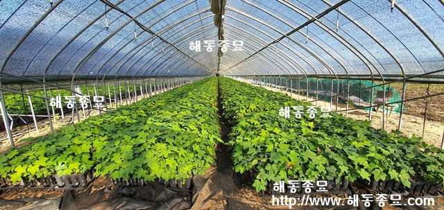 KakaoTalk_20191024_135712385.jpg