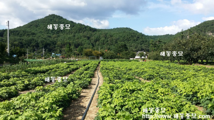 KakaoTalk_20160920_161250073.jpg