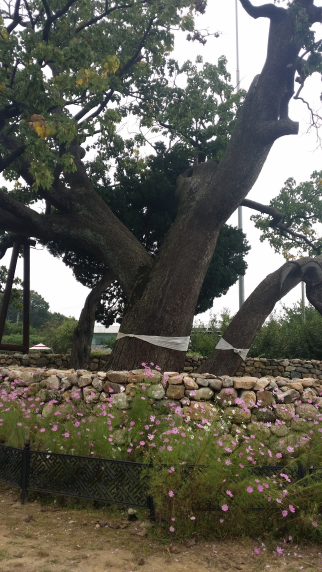 KakaoTalk_20160925_120921618.png