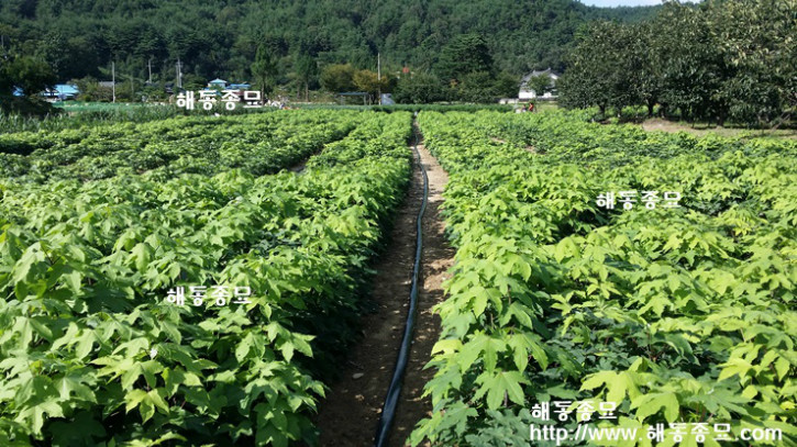 KakaoTalk_20160920_161246543.jpg