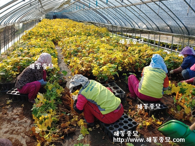KakaoTalk_20191107_113433985.jpg