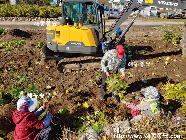 KakaoTalk_20191119_192020271.jpg