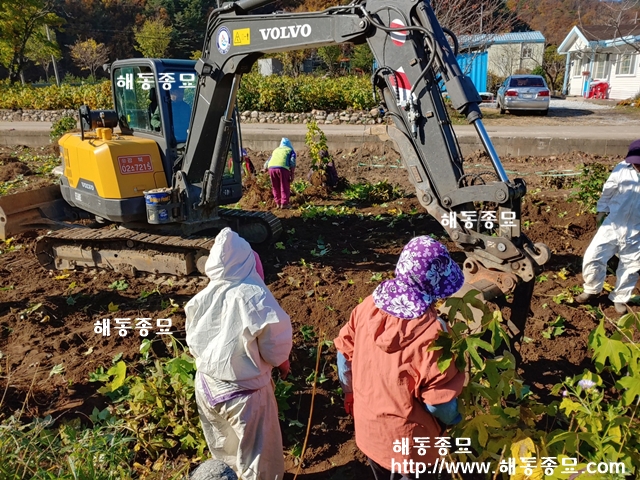 KakaoTalk_20191119_192018116.jpg