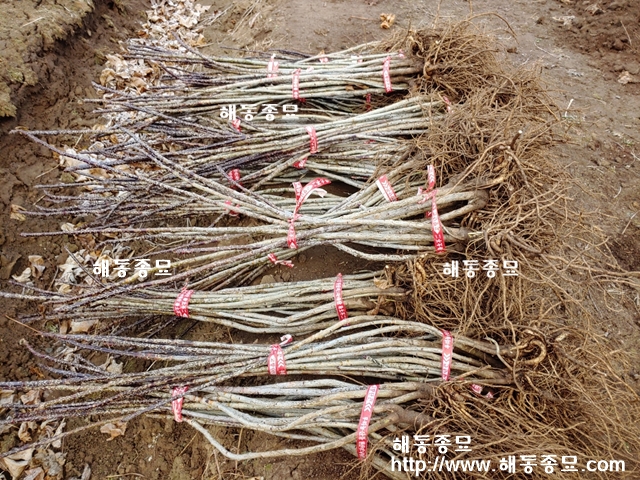 KakaoTalk_20191212_220835507.jpg