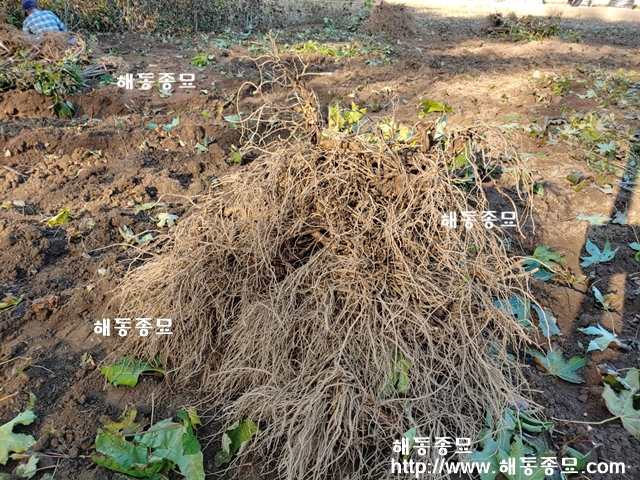 KakaoTalk_20191130_172411063.jpg
