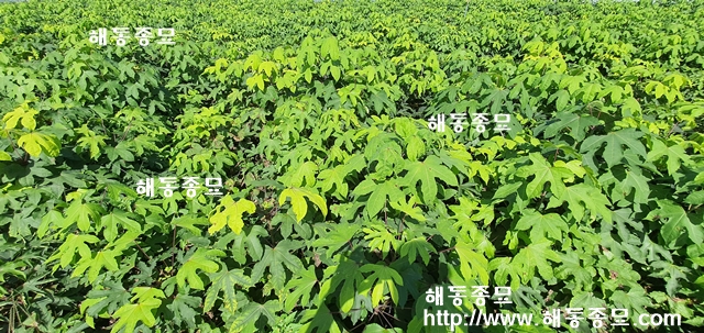 KakaoTalk_20210929_160311711_03.jpg
