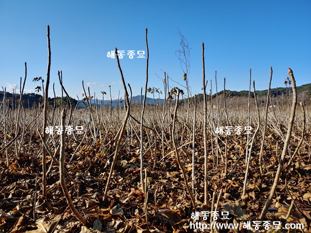 KakaoTalk_20191212_221149261.jpg