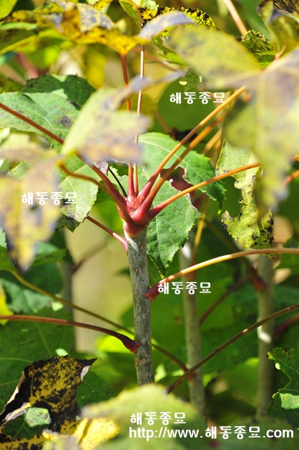 KakaoTalk_20191028_111247097.jpg