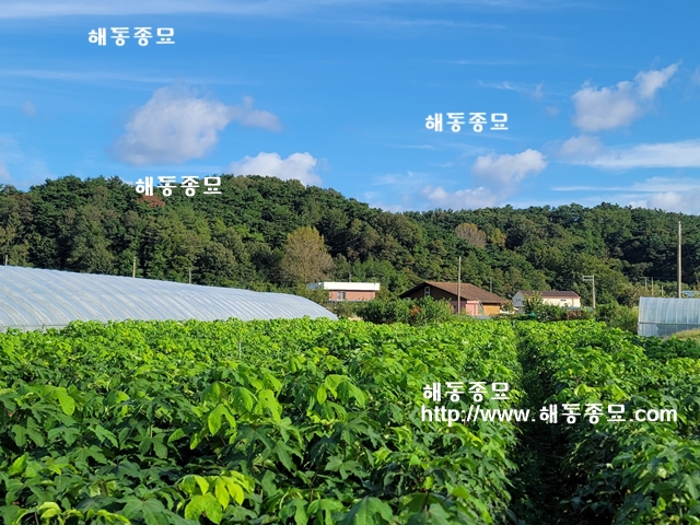 KakaoTalk_20210929_160311711_01.jpg
