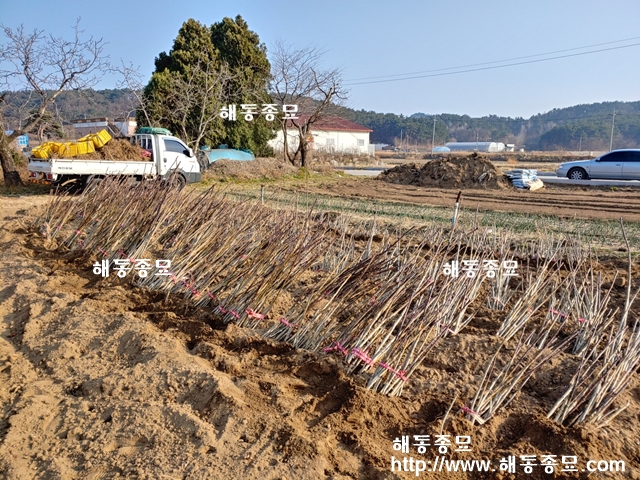 KakaoTalk_20191212_220836371.jpg