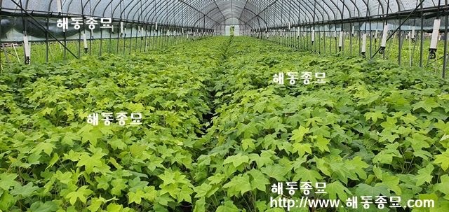 KakaoTalk_20210827_164939448_03.jpg
