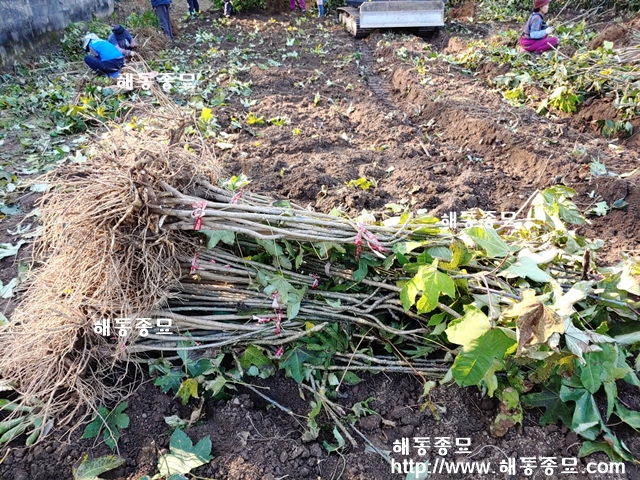 KakaoTalk_20191130_172409777.jpg
