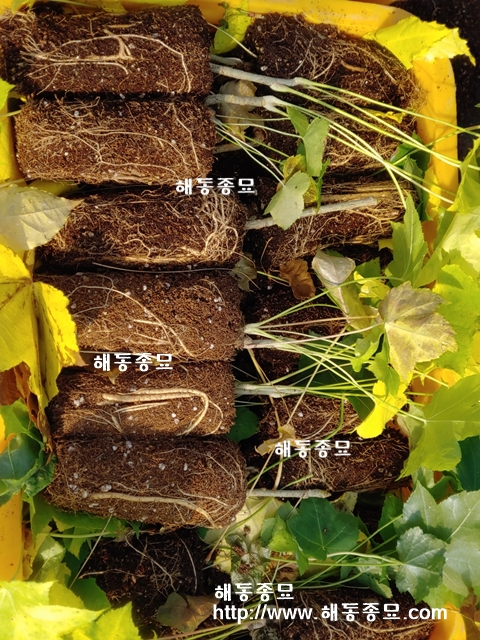 KakaoTalk_20191107_134852550.jpg