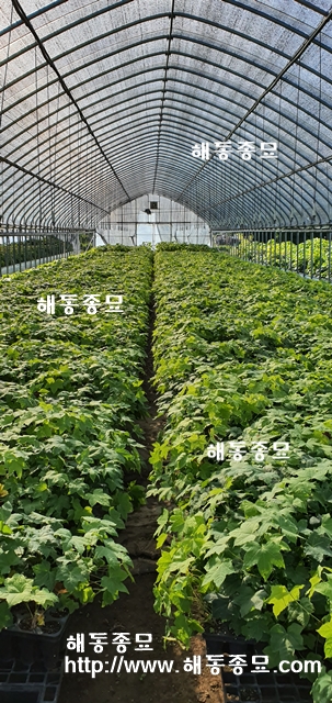 KakaoTalk_20191024_135709544.jpg
