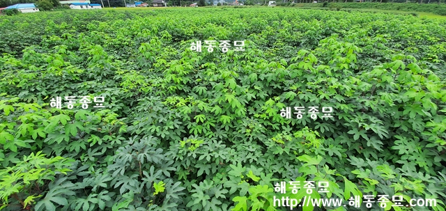 KakaoTalk_20191024_135718971.jpg