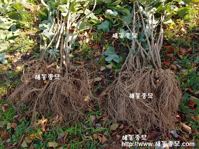 KakaoTalk_20191031_184616003.jpg