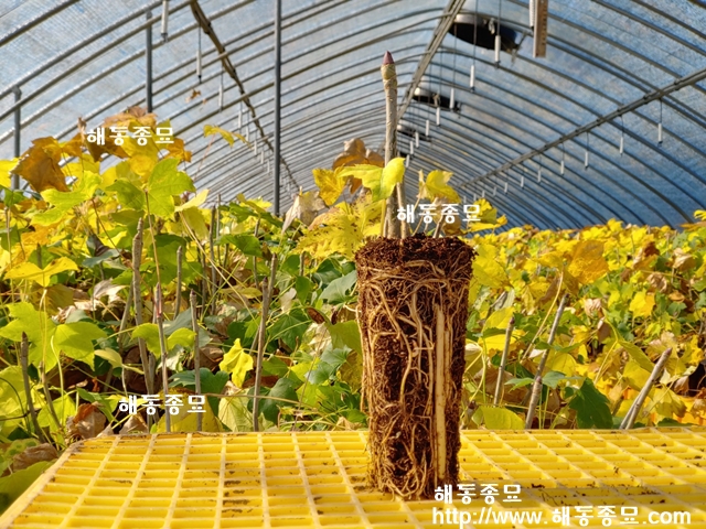 KakaoTalk_20230202_135500910.jpg