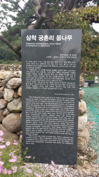 KakaoTalk_20160925_120934077.png