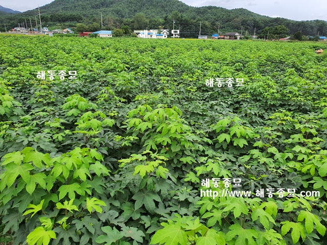 KakaoTalk_20191024_135722567.jpg