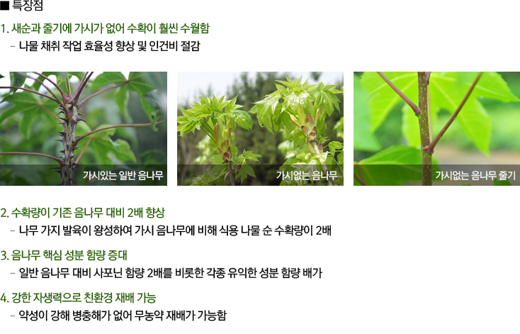 최고의 친환경 테크놀리지 기술을 선도합니다