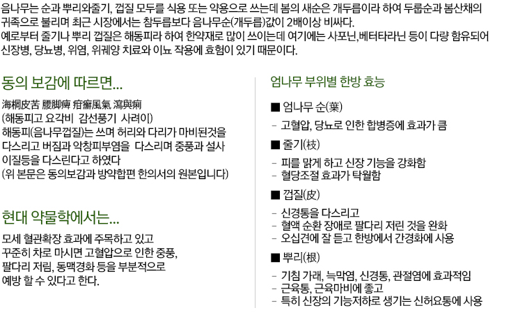 최고의 친환경 테크놀리지 기술을 선도합니다