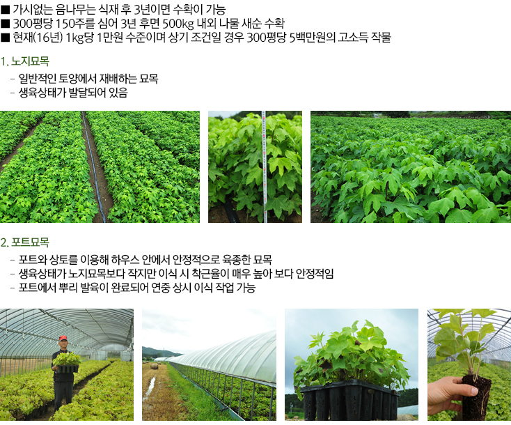 최고의 친환경 테크놀리지 기술을 선도합니다